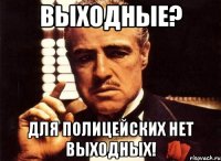 Выходные? Для полицейских нет выходных!