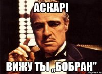 Аскар! Вижу ты ,,Бобран"