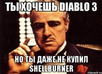 ты хочешь Diablo 3 но ты даже не купил ShellBurner