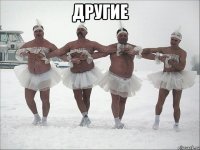 Другие 