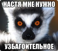 Настя мне нужно Узбагоительное