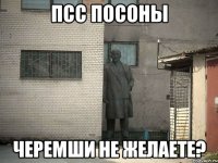 псс посоны черемши не желаете?