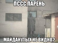 ПССС,ПАРЕНЬ МАЙДАНУТЫХ НЕ ВИДНО?