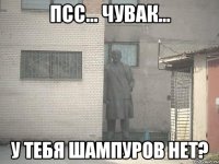 Псс... Чувак... У тебя шампуров нет?