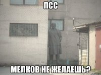 ПСС МЕЛКОВ НЕ ЖЕЛАЕШЬ?