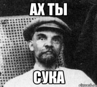 ах ты сука