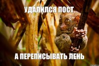 удалился пост, а переписывать лень