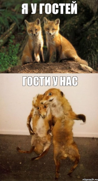 я у гостей гости у нас