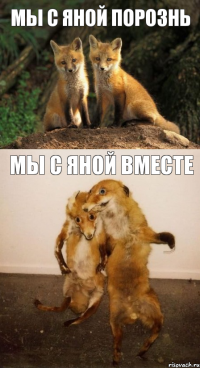 мы с Яной порознь мы с Яной вместе