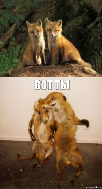  ВОТ ТЫ