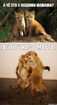 А чё это с нашими мамами? А это у нас 8 марта.