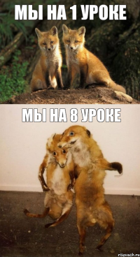 Мы на 1 Уроке Мы на 8 уроке