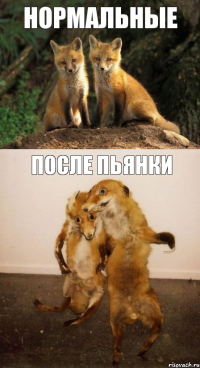 нормальные после пьянки