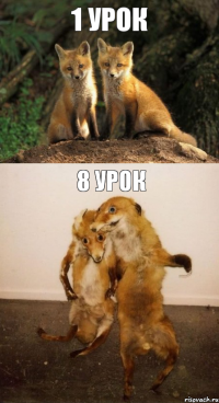 1 урок 8 урок