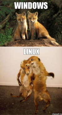 Windows Linux