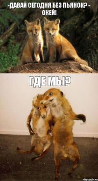 -Давай сегодня без пьянок? - Окей! Где мы?