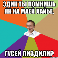 ЭДИК ТЫ ПОМНИШЬ ЯК НА МАЕЙ ЛАЙБЕ, ГУСЕЙ ПИЗДИЛИ?