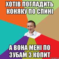 хотів погладить коняку по спині а вона мені по зубам з копит