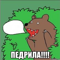  ПЕДРИЛА!!!!