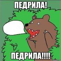 Педрила! ПЕДРИЛА!!!!