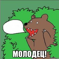  МОЛОДЕЦ!