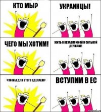 Кто мы? Украинцы! Чего мы хотим! Жить в независимой и сильной державе! Что мы для этого сделаем? Вступим в ЕС