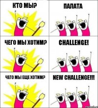 кто мы? ПАЛАТА Чего мы хотим? Challenge! Чего мы еще хотим? New challenge!!!