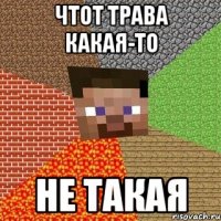 Чтот трава какая-то Не такая