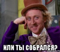  ИЛИ ТЫ СОБРАЛСЯ?