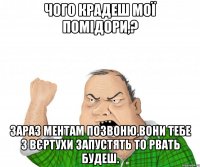 Чого крадеш мої помідори,? Зараз ментам позвоню,вони тебе з вєртухи запустять то рвать будеш.