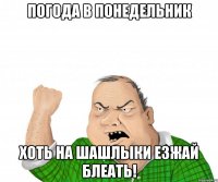 ПОГОДА В ПОНЕДЕЛЬНИК ХОТЬ НА ШАШЛЫКИ ЕЗЖАЙ БЛЕАТЬ!