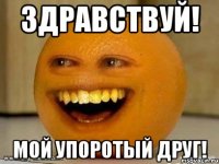 Здравствуй! Мой упоротый друг!