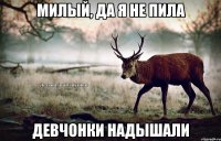 Милый, да я не пила девчонки надышали