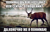 "понимаешь я не хочу ни с кем сейчас отношений?" Да,конечно же я понимаю