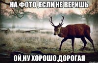 на фото ,если не веришь ой,ну хорошо,дорогая