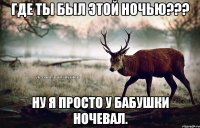 Где ты был этой ночью??? Ну я просто у бабушки ночевал.