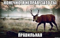 Конечно, я неправ, зато ты ПРАВИЛЬНАЯ