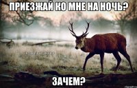 приезжай ко мне на ночь? зачем?