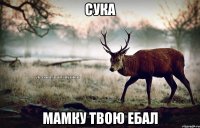 сука мамку твою ебал