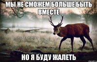 мы не сможем больше быть вместе но я буду жалеть