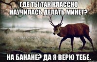 Где ты так классно научилась делать минет? На банане? Да я верю тебе.