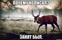 Почему не писал? Занят был.