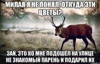 Милая я не понял, откуда эти цветы? Зай, это ко мне подошёл на улице не знакомый парень и подарил их