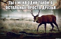 Ты у меня один такой, а остальные просто друзья 