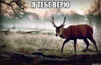 Я тебе верю 