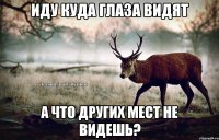 иду куда глаза видят а что других мест не видешь?