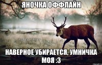 Яночка оффлайн наверное убирается, умничка моя :3