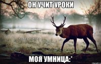 Он учит уроки Моя умница:*