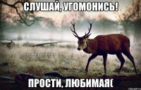 Слушай, угомонись! Прости, любимая(