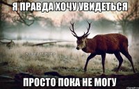 Я правда хочу увидеться Просто пока не могу